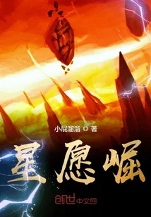 《星愿崛》小说封面