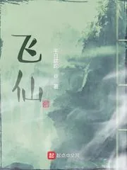 《飞仙》小说封面