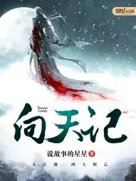 《向天记》小说封面