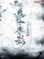 《追仙魔影》小说封面