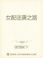 《女配逆袭之路》小说封面