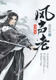 《风声老》小说封面