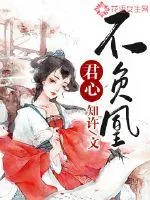 《君心不负凰》小说封面