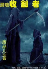 《灵魂收割者》小说封面