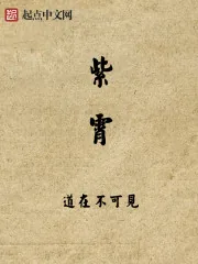 《紫霄》小说封面