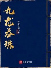 《九龙吞珠》小说封面