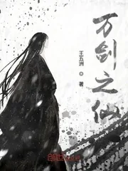 《万剑之仙》小说封面