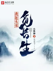 《我在大宋觅长生》小说封面