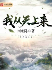 《我从天上来》小说封面