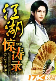 《江湖惊涛录》小说封面