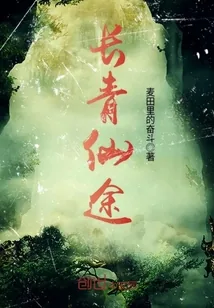 《长青仙途》小说封面