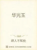 《华光玉》小说封面