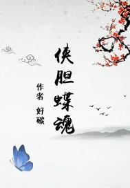 《侠胆蝶魂》小说封面