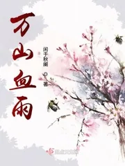 《万山血雨》小说封面