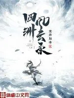 《四洲风云录》小说封面