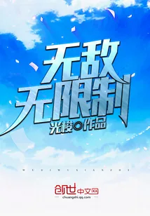 《无敌无限制》小说封面