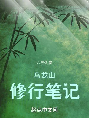 《乌龙山修行笔记》小说封面