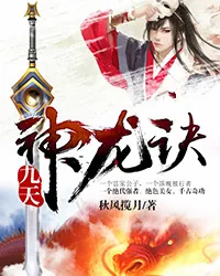 《九天神龙诀》小说封面