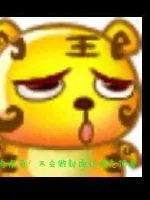《我被大佬安排了》小说封面