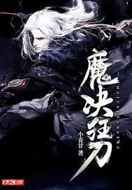 《魔决狂刀》小说封面