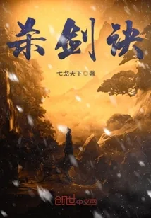 《杀剑诀》小说封面