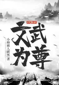 《文武为尊》小说封面