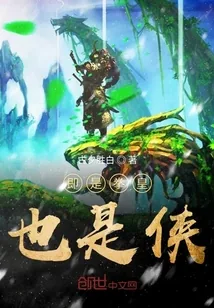 《即是拳皇也是侠》小说封面