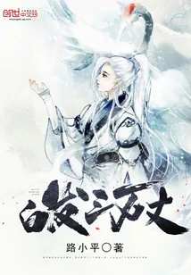 《白发三万丈》小说封面