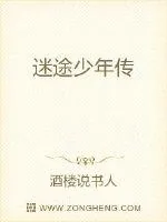 《迷途少年传》小说封面