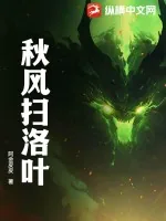 《秋风扫洛叶》小说封面