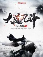 《大道风神》小说封面