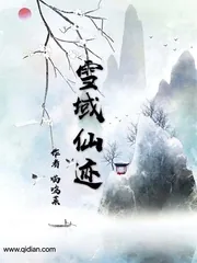 《雪域仙迹》小说封面