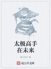 《太极高手在未来》小说封面