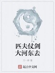 《匹夫仗剑大河东去》小说封面