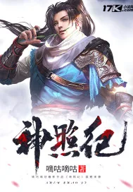 《神照纪》小说封面