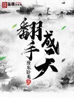 《翻手成天》小说封面
