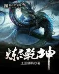《炼尽乾坤》小说封面