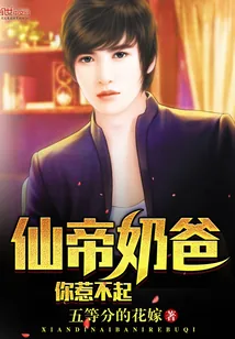 《仙帝奶爸你惹不起》小说封面