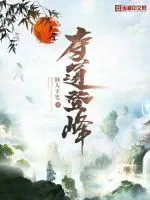《夺道登峰》小说封面