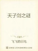 《天子剑》小说封面