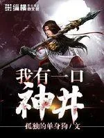 《我有一口神井》小说封面