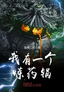 《我有一个炼药锅》小说封面