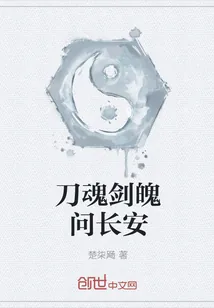 《刀魂剑魄问长安》小说封面
