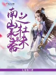 《南山承斋之杜未传奇》小说封面