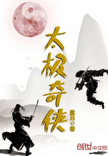 《太极奇侠》小说封面