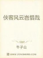 《侠客风云岂惜哉》小说封面