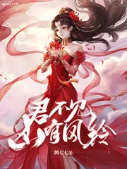 《君不见山有风铃》小说封面