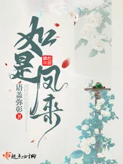 《如是凤来》小说封面