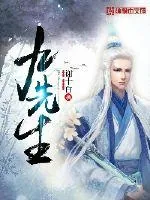 《九先生》小说封面