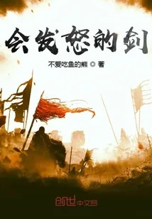 《会发怒的剑》小说封面